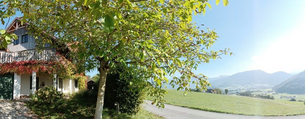 Standort Altmünster